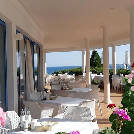 Hotel Sineva 4*